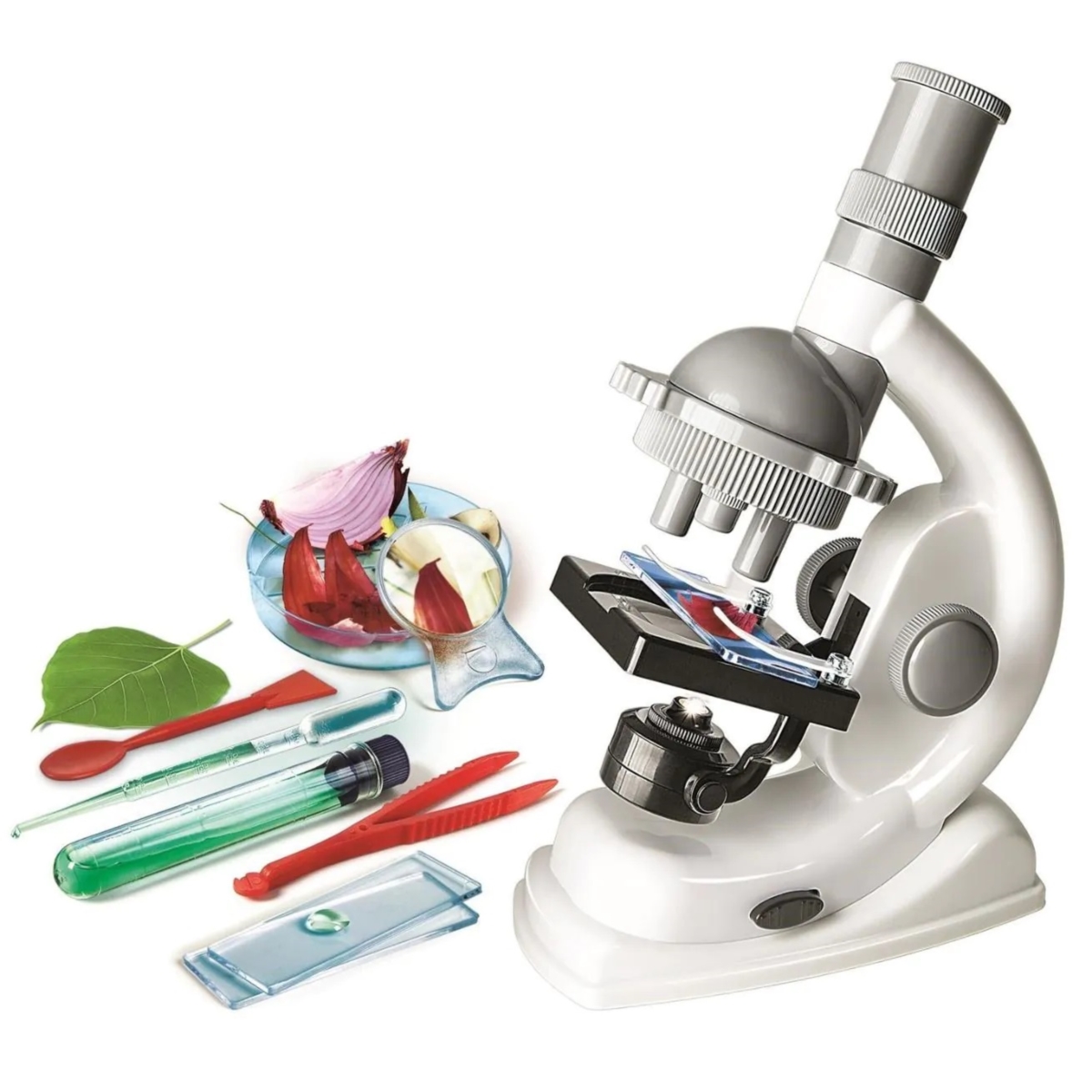 CLE Naukowa zabawka Doświadczenia z mikrosk.50806