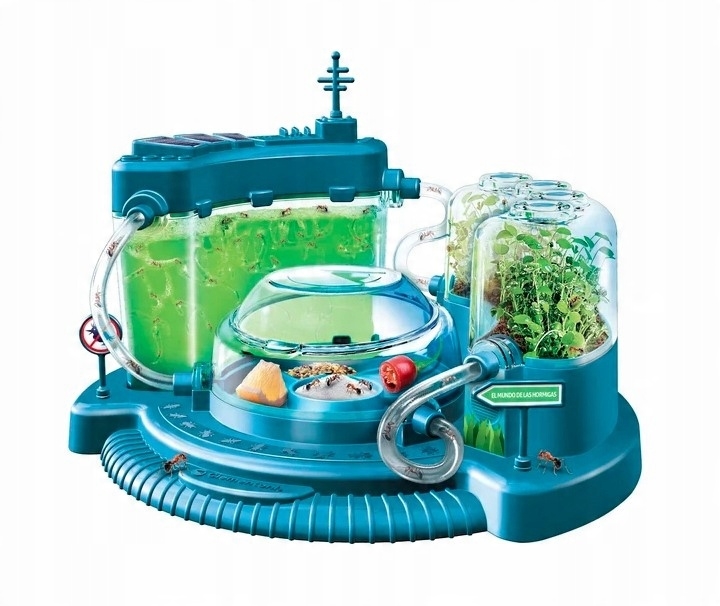 Nauka Zabawa. Świat mrówek