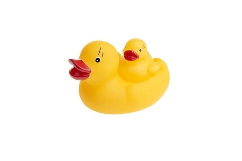 Kaczka mydelniczka z kacz../nie nab.wody 517 75177
