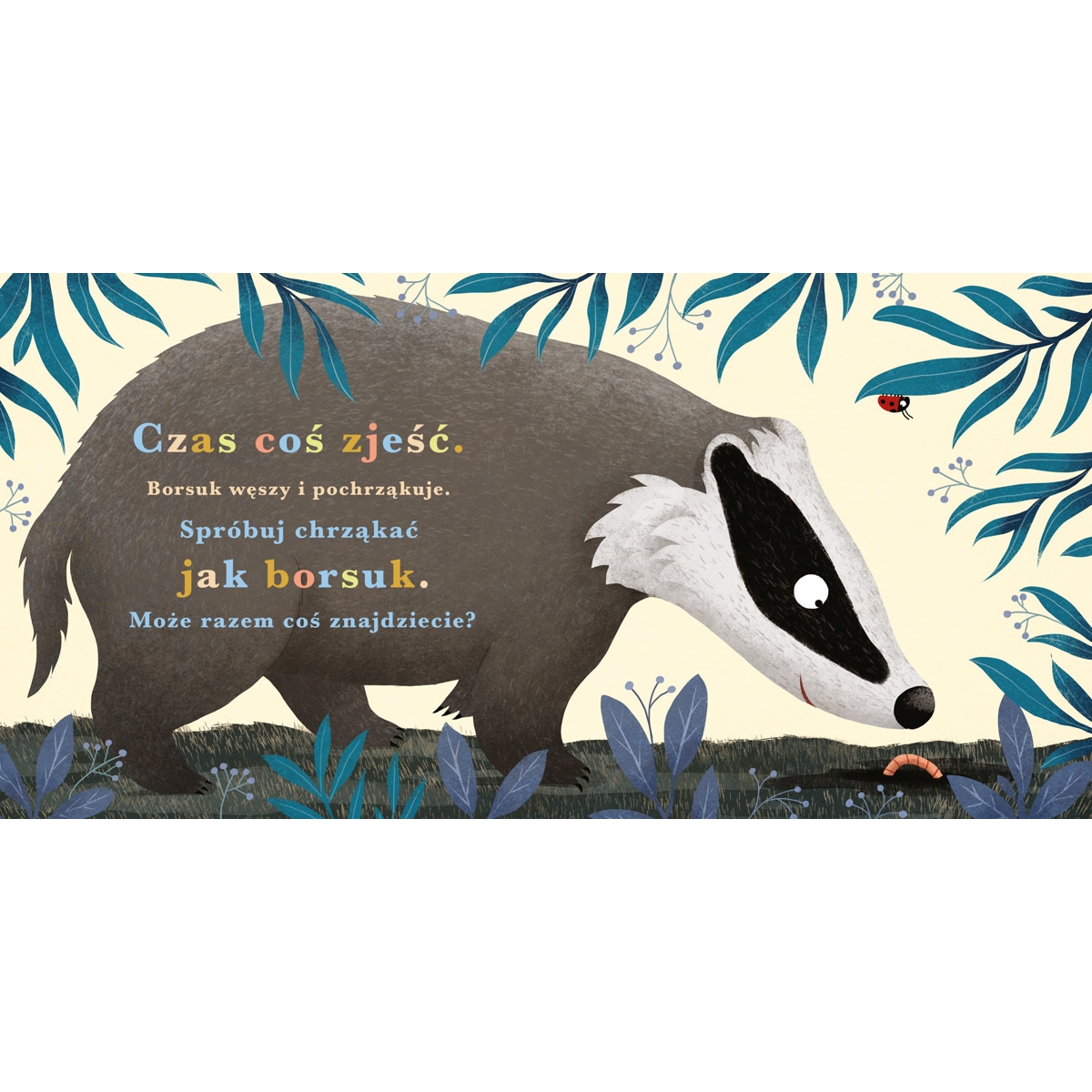 PUCIO ROK W LESIE BORSUK