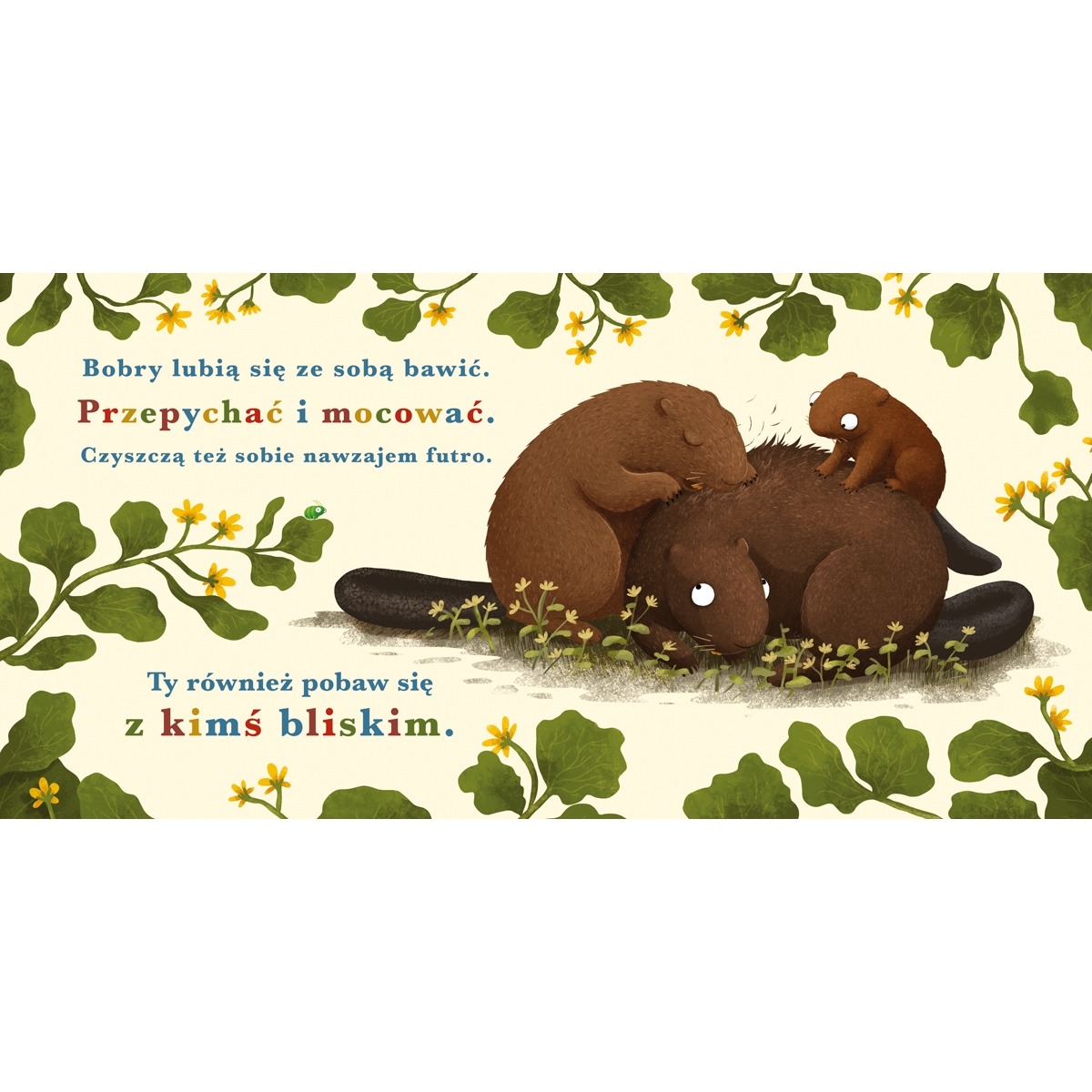 PUCIO ROK W LESIE BÓBR