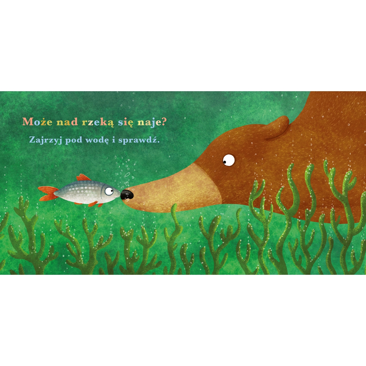 ROK W LESIE NIEDZWIEDŹ