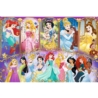 Puzzle - 160 - Portrety Księżniczek - Disney Princ
