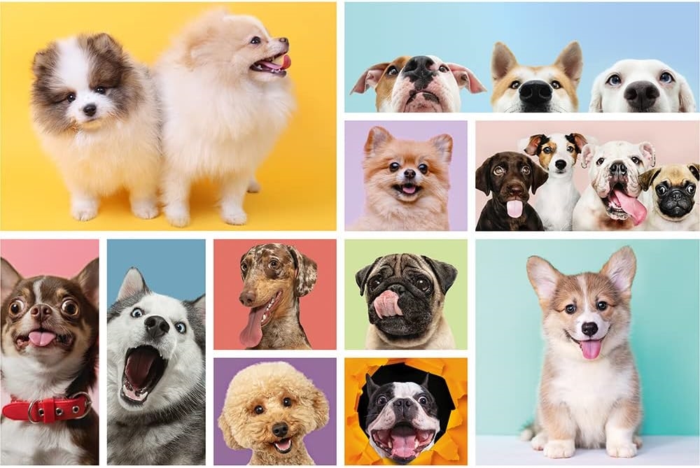 TREFL PUZZLE 160 PSIA PRZYJAŹŃ