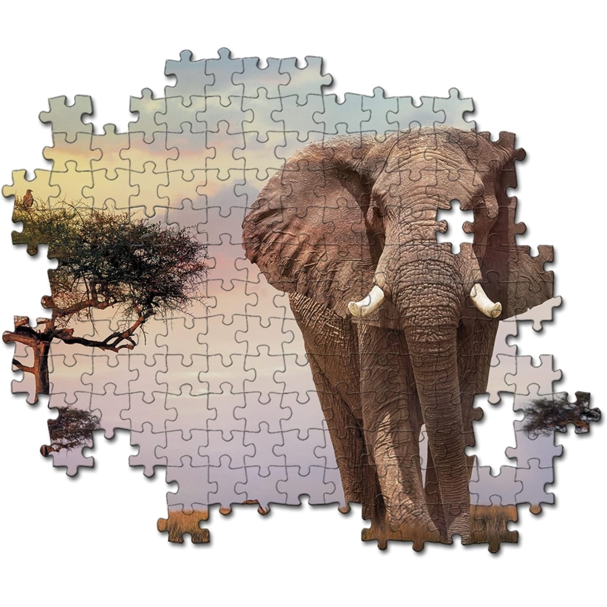 PUZZLE 500 HCQ AFRICAN SUNSET