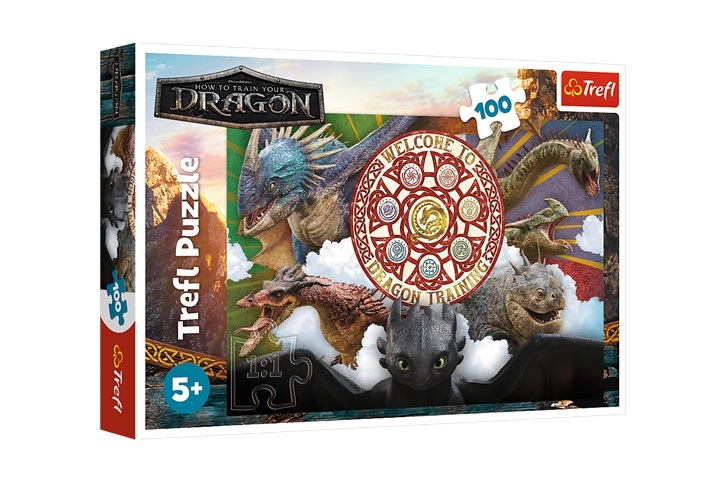 PUZZLE 100 Smoki w akcji Dragon 16524