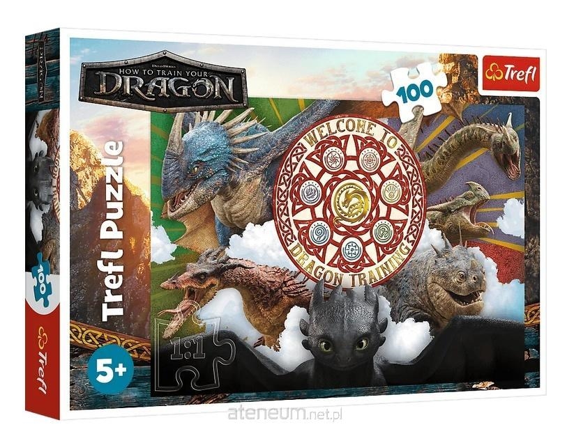 PUZZLE 100 Smoki w akcji Dragon 16524