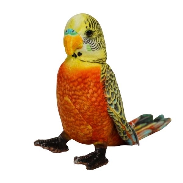 Papużka pomarańczowa VIC 04295 42950