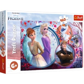 PUZZLE 160  DISNEY FROZEN