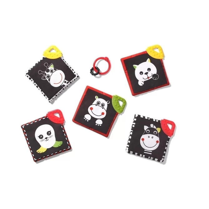 ONO ZAB. 781 KARTY EDUKACYJNE DREAM