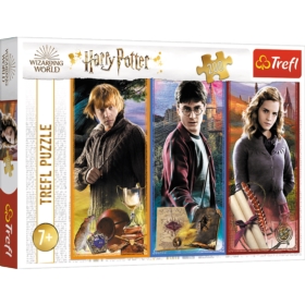 Puzzle 200 el. Harry Potter 13277