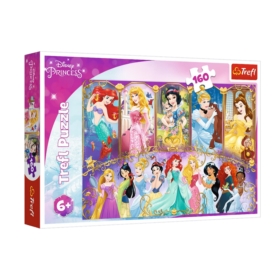 Puzzle - 160 - Portrety Księżniczek - Disney Princ