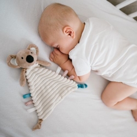 BABYONO PRZYTULANKA KOCYK KOALA CHARLIE