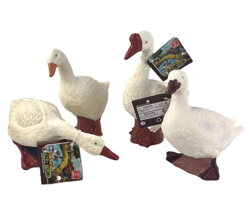 Zwierzęta drób 1szt 1351997 19975