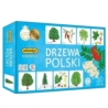 Drzewa Polski Gra memory 07882