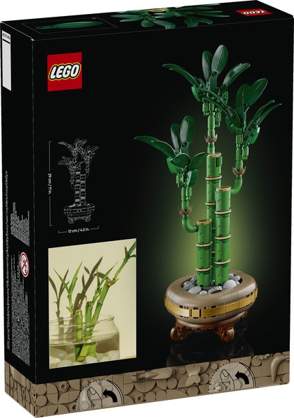 10344 LEGO BOTANICALS Dracena sandera