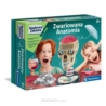 CLEMENTONI ZWARIOWANA ANATOMIA