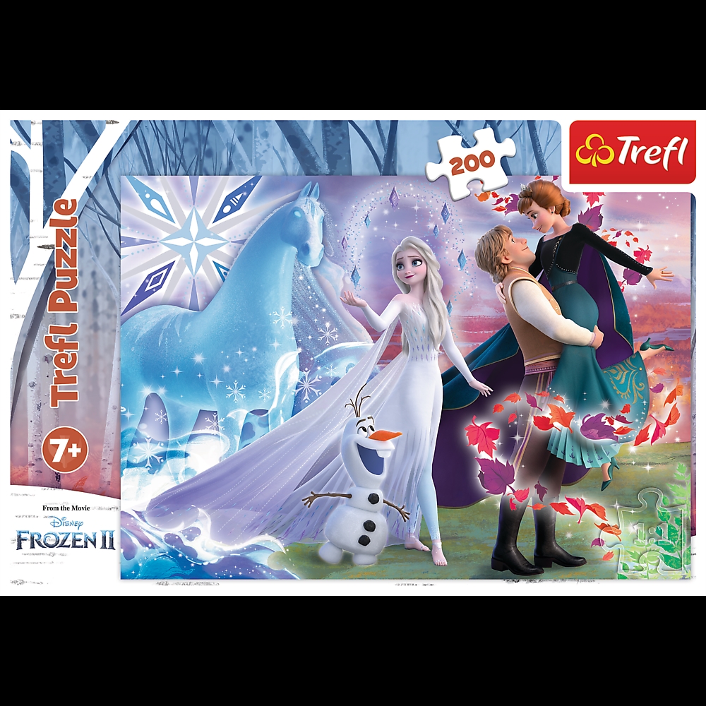 Puzzle - 200 - Magiczny świat sióstr FROZEN 13265