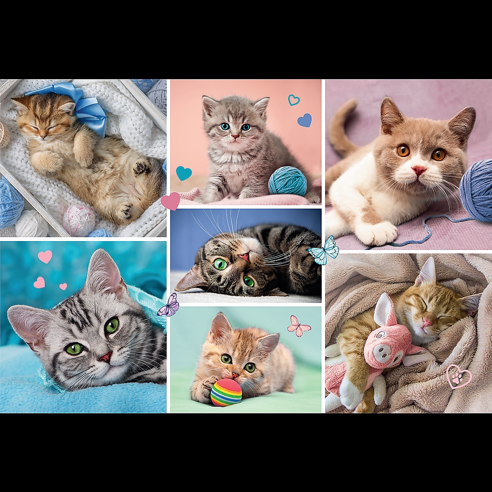 PUZZLE 100 - W KOCIM ŚWIECIE