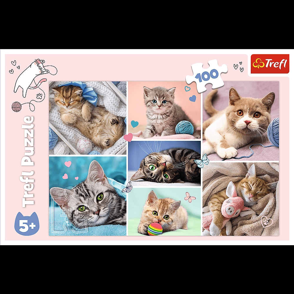 PUZZLE 100 - W KOCIM ŚWIECIE