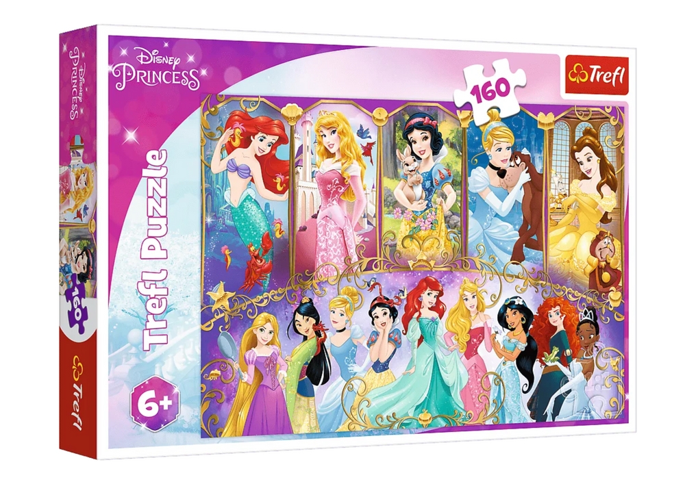 Puzzle - 160 - Portrety Księżniczek - Disney Princ