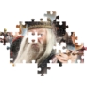 CLEMENTONI PUZZLE HARRY POTTER 104