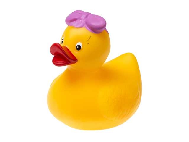 Kaczka do kąpieli /nie nabiera wody 510 75108