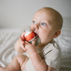 BABYONO GRZECHOTKA Z GRYZAKIEM 1587