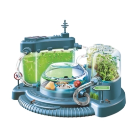 Nauka Zabawa. Świat mrówek