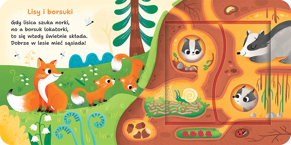 Otwórz i sprawdź! W lesie. Podwójne okienka