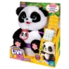 Little Live Pets. Panda