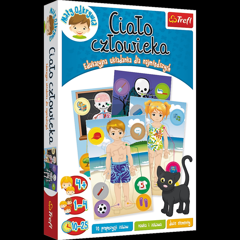 Ciało człowieka 01738