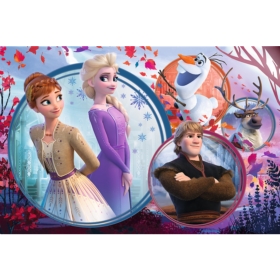 PUZZLE 160 DISNEY FROZEN