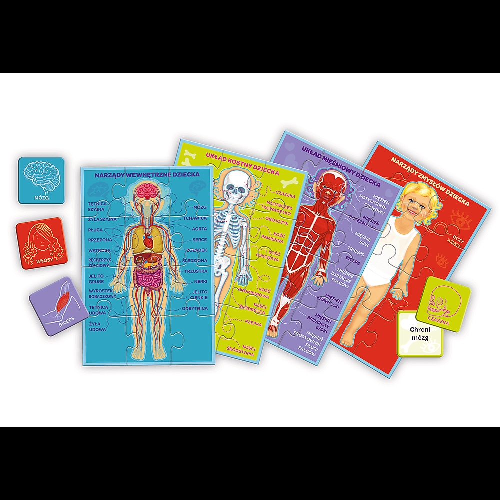 Gra Moje ciało z Serii Mały Odkrywca 01952