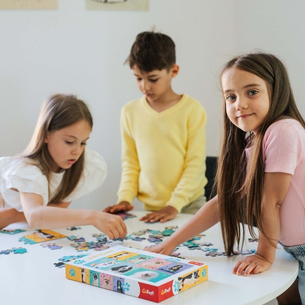 Puzzle 100 - Psia ekipa 16414