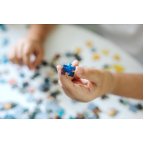 Puzzle - 300 - Magiczny czas - Disney Frozen 2 230