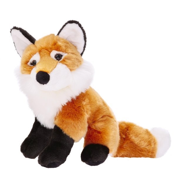 LIS POSPOLITY 23 CM
