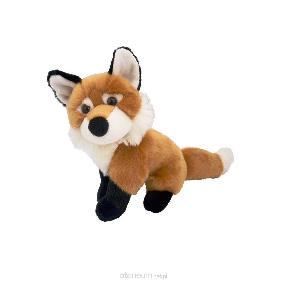 LIS POSPOLITY 23 CM
