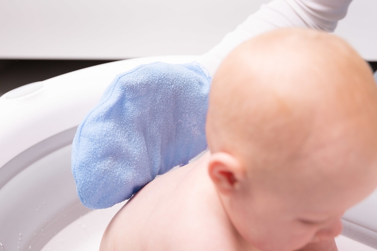 SENSILLO MYJKA FROTTE