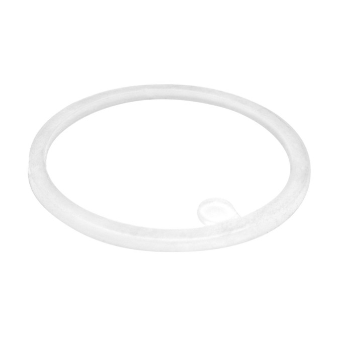 GRZECHOTKA GRYZAK DINO