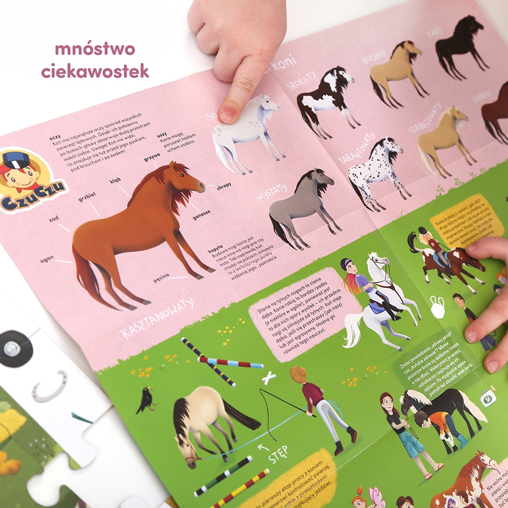 CZUCZU PUZZLE OBSERWACYJNE STADNINA KONI 5+