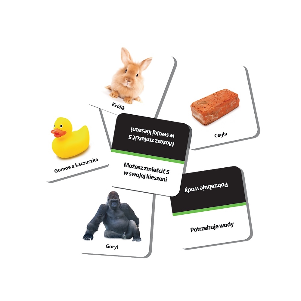 Gra Trefl - Pikti 02079