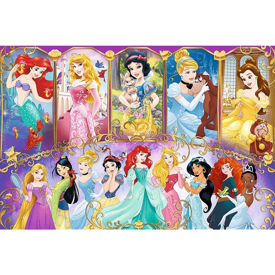 Puzzle - 160 - Portrety Księżniczek - Disney Princ
