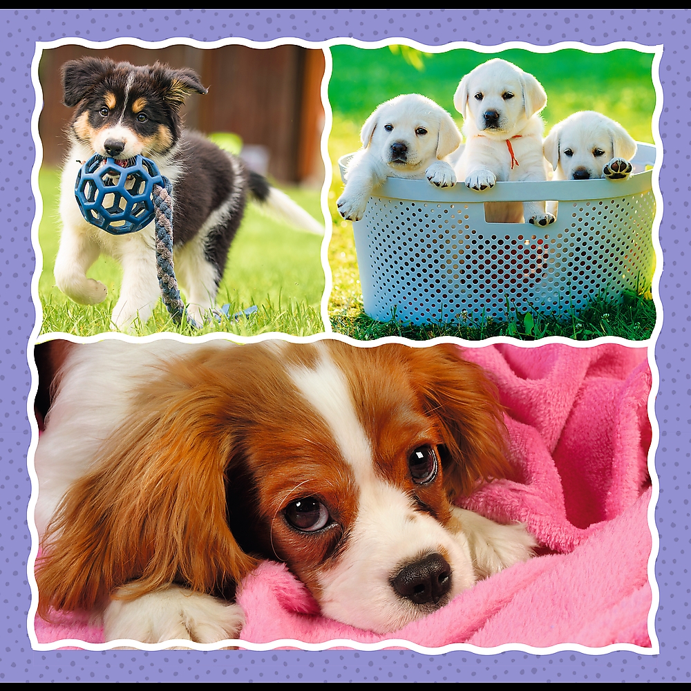 TREFL - PUZZLE 3w1 - UROCZE PIESKI - 34854