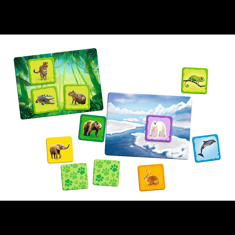 Zwierzęta świata - Rodzina Treflików 02337