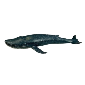 Zestaw Edukacyjny Zwierząt Morskich Figurki Delfin