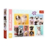 TREFL PUZZLE 160 PSIA PRZYJAŹŃ