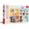 TREFL PUZZLE 160 PSIA PRZYJAŹŃ