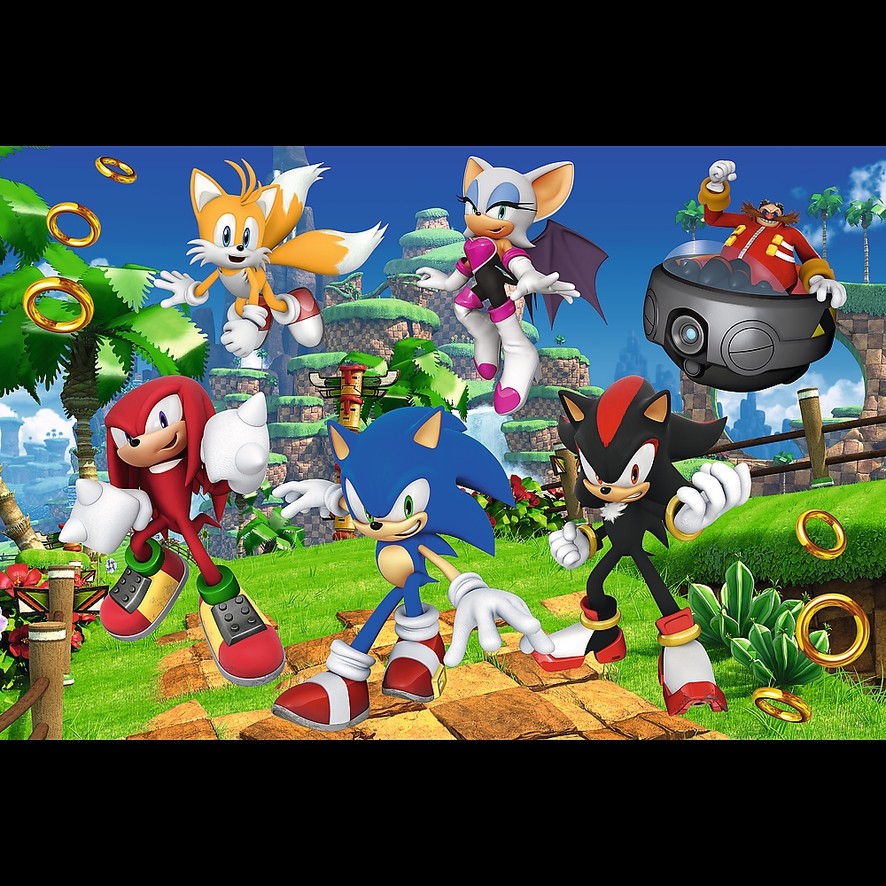 TREFL PUZZLE 160 SONIC