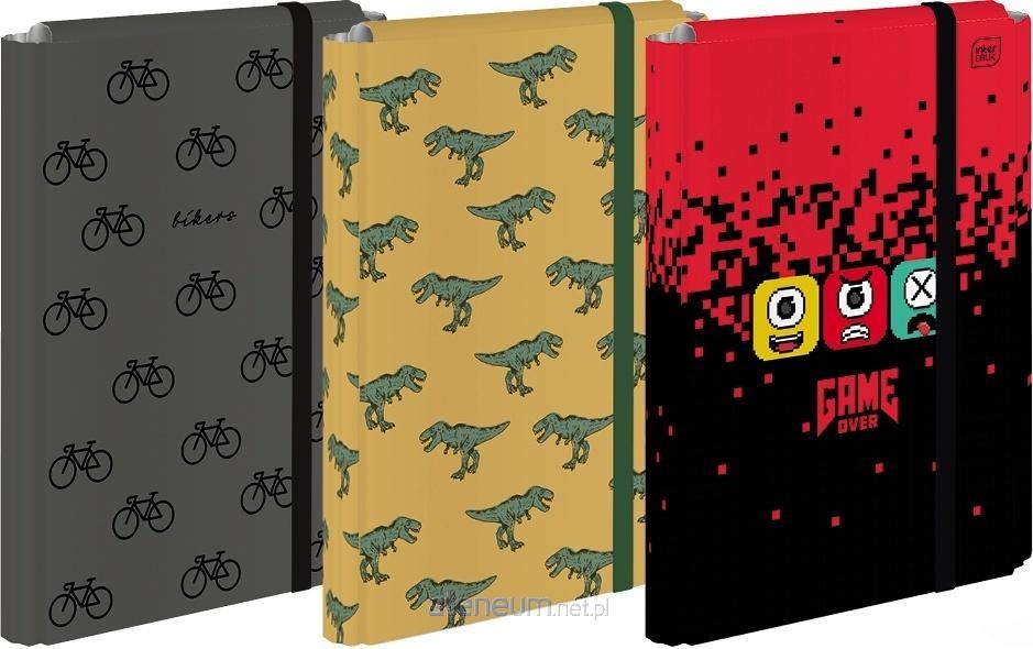 TECZKA A4 Z GUMKA SKRZYDLA BOYS